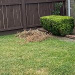 IMG_1677.jpg